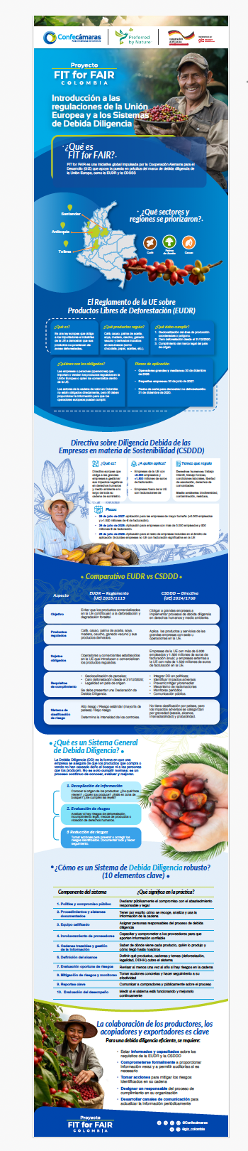 Infografia Confecamaras